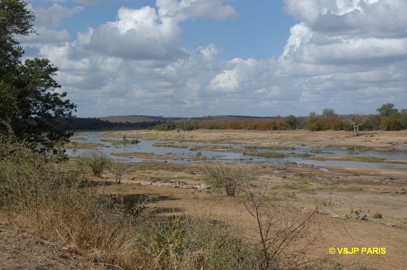 Kruger : Olifants River
