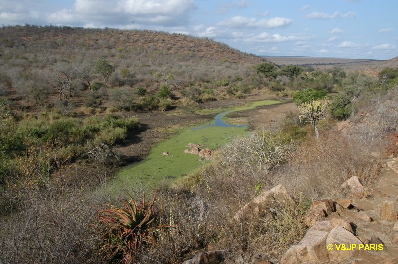Kruger: Orpen Dam