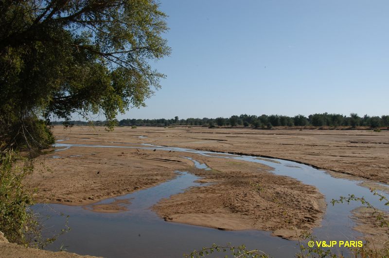 Kruger : Pafuri