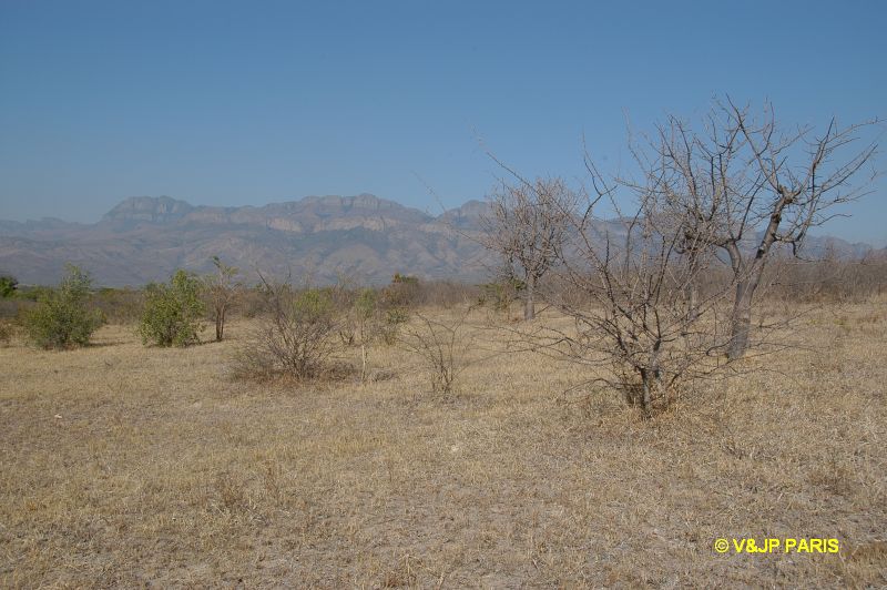 Les alantours du village de Sekororo
