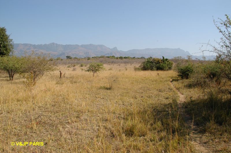 Les alantours du village de Sekororo