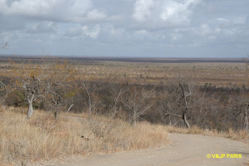 Kruger : Point de vue de Shibyatsangela