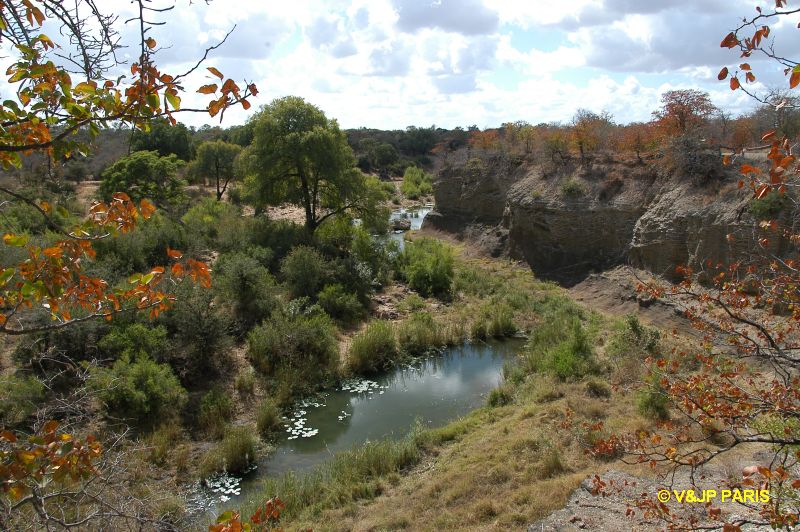 Kruger : Camp de Shingwedzi et les alantours