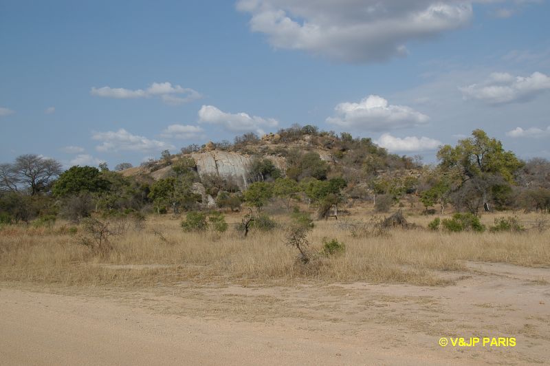 Kruger : Route de Skukuza à Malelane