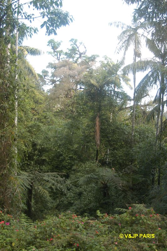 Itatiaia National Park