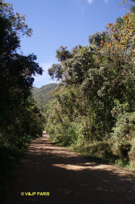 Itatiaia National Park