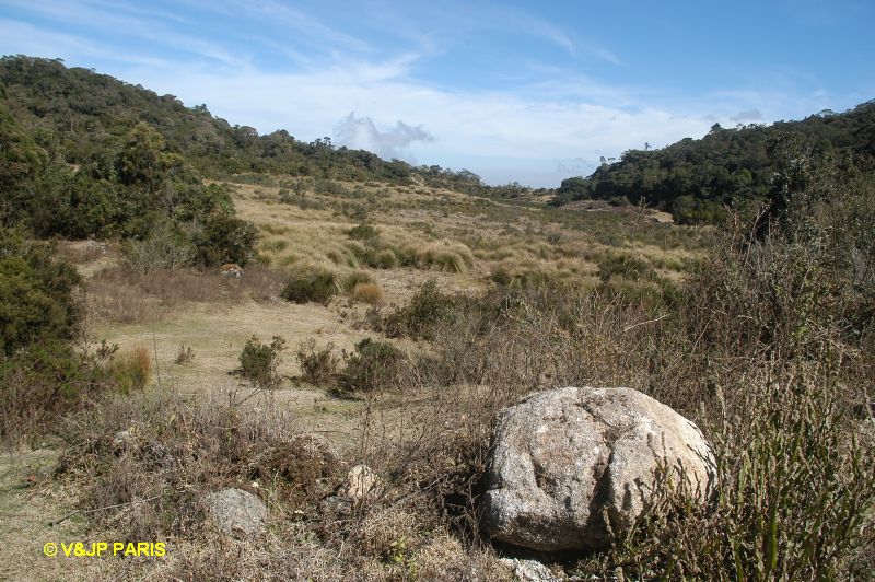 Itatiaia National Park