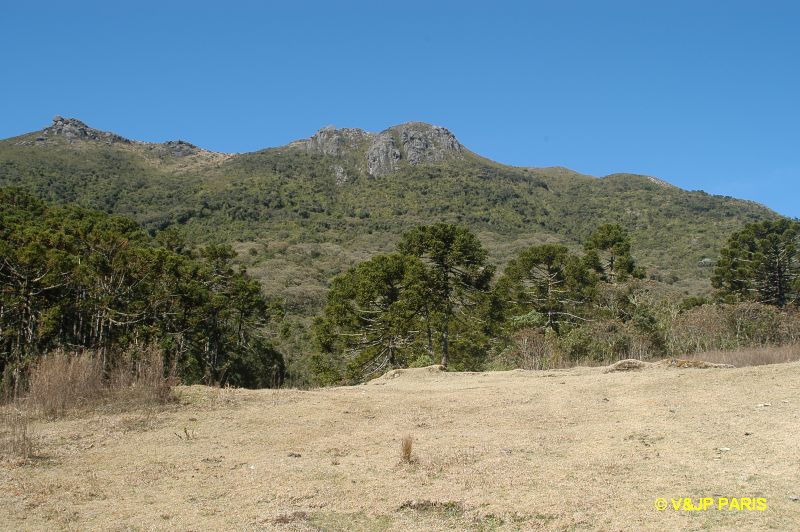 Itatiaia National Park