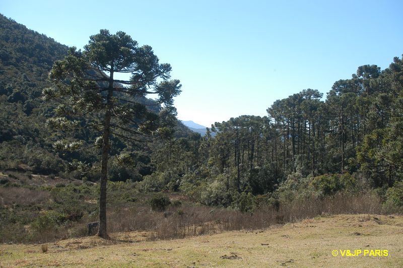 Itatiaia National Park