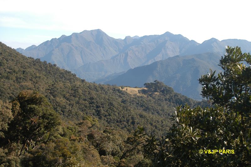 Itatiaia National Park