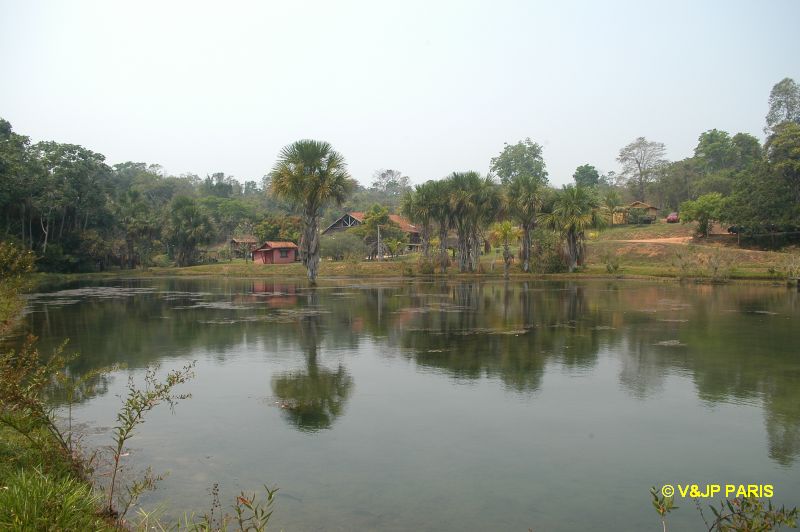 São José do Rio Claro, Jardim da Amaz...