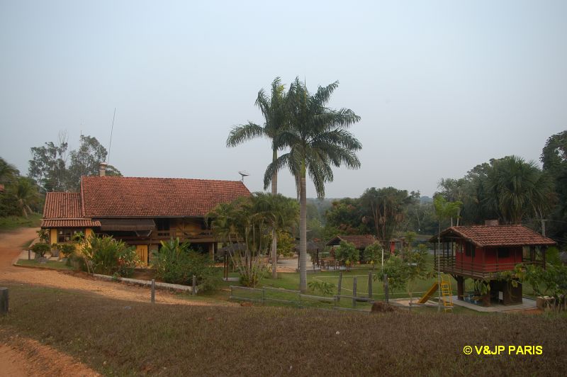 São José do Rio Claro, Jardim da Amaz...