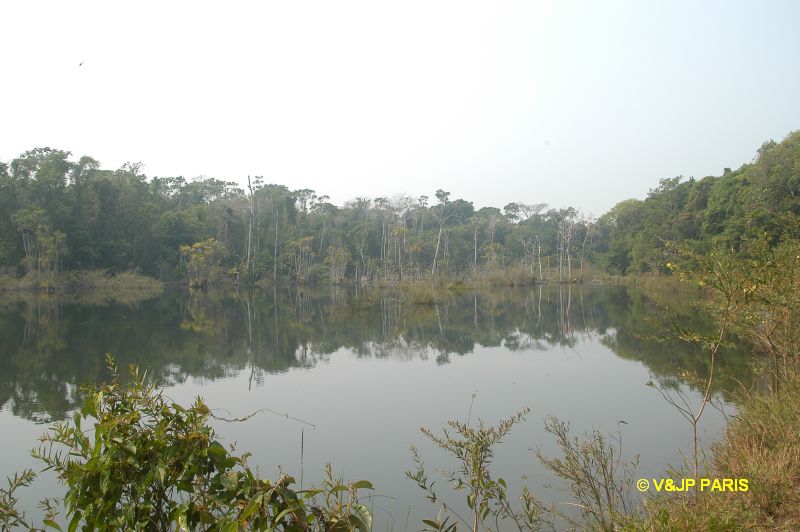 São José do Rio Claro, Jardim da Amaz...