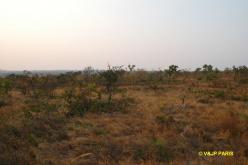 Autours de Chapada dos Guimarães