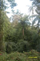 Pac National d'Itatiaia