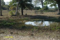 Pantanal, Pouso Alegre