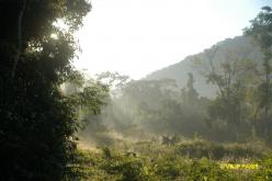 Ubatuba Fazenda Angelim