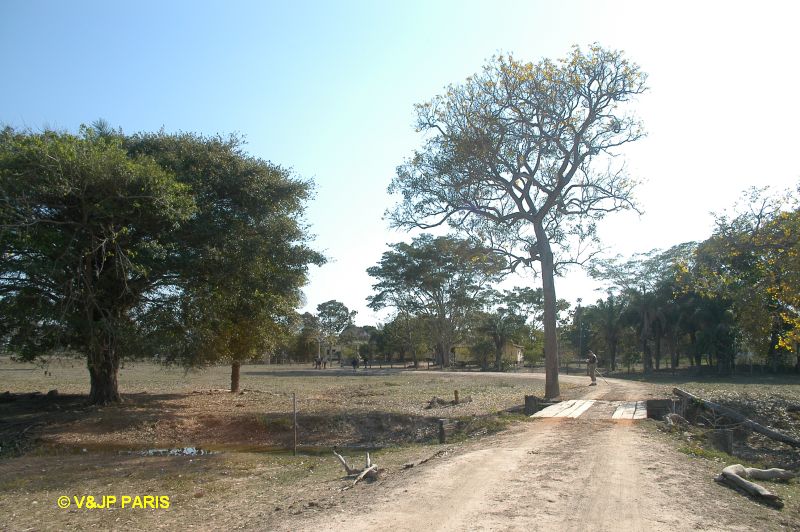 Pantanal, Pouso Alegre