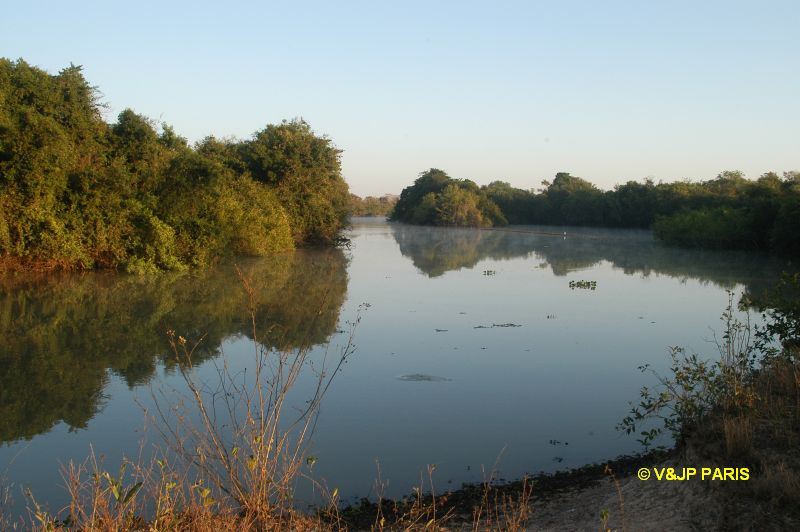 Pantanal, Fazenda Santa Tereza