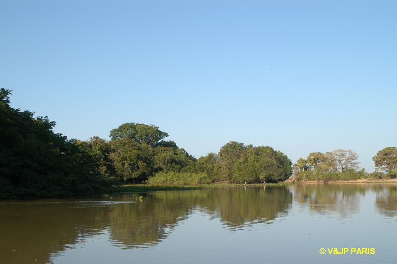 Pantanal, Fazenda Santa Tereza