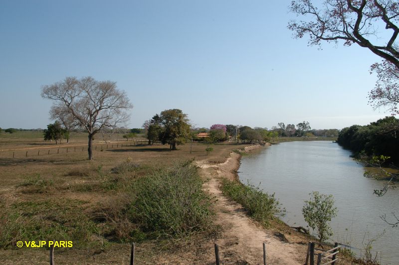 Pantanal, Fazenda Santa Tereza