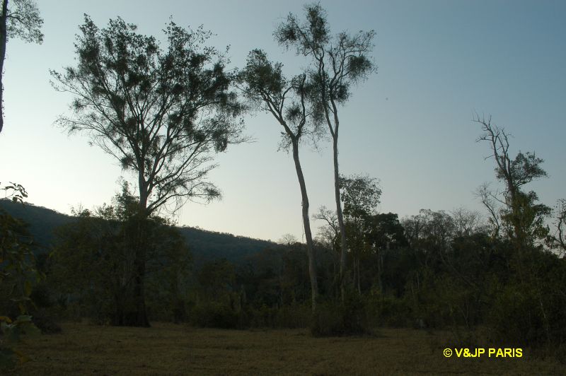 Serra das Araras