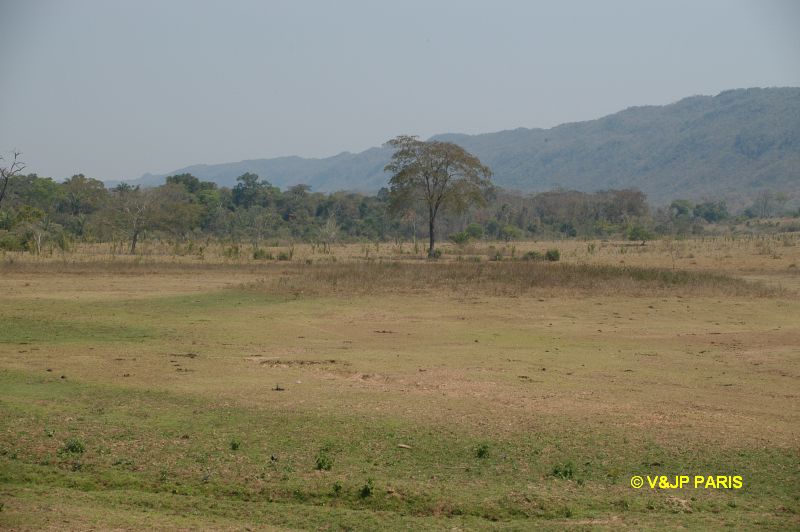 Serra das Araras