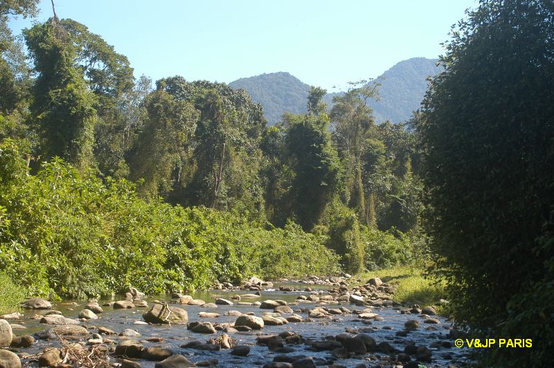 Ubatuba Fazenda Angelim