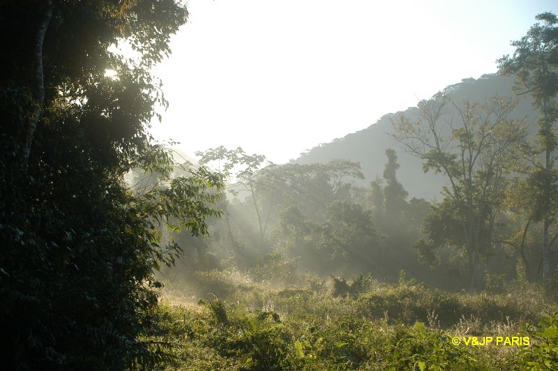 Ubatuba Fazenda Angelim