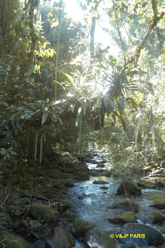 Ubatuba Fazenda Angelim