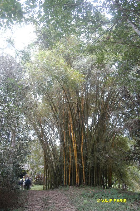 Ubatuba, Fazenda Capricornio