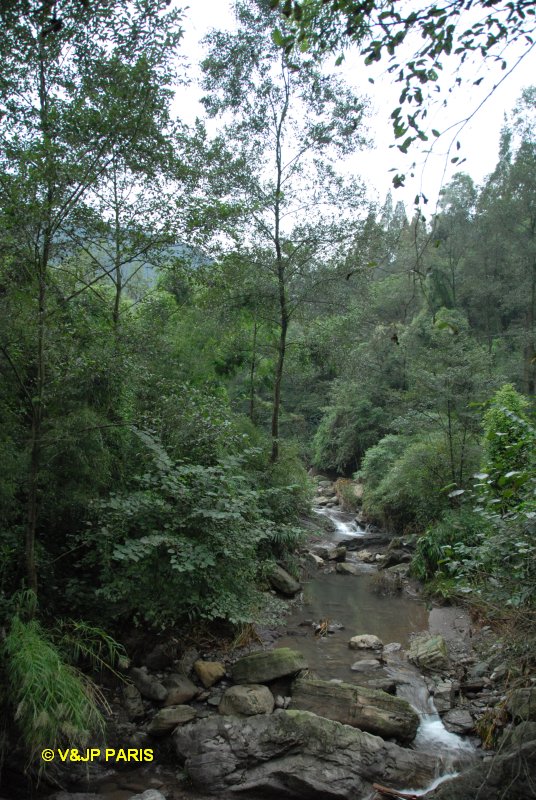 Emei, Sichuan