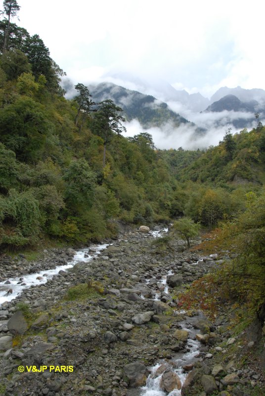 Erlang Mountain National Forest Park (Laba He), Sichuan