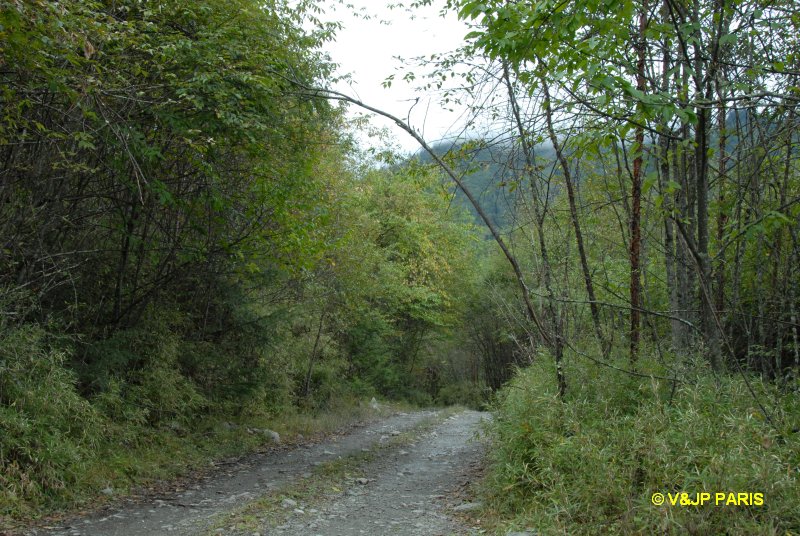 Erlang Mountain National Forest Park (Laba He), Sichuan