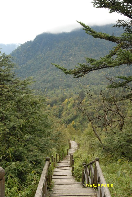 Erlang Mountain National Forest Park (Laba He), Sichuan