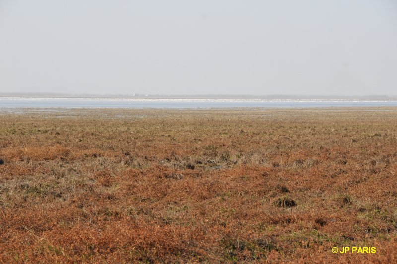 Lac Poyang, Jiangxi