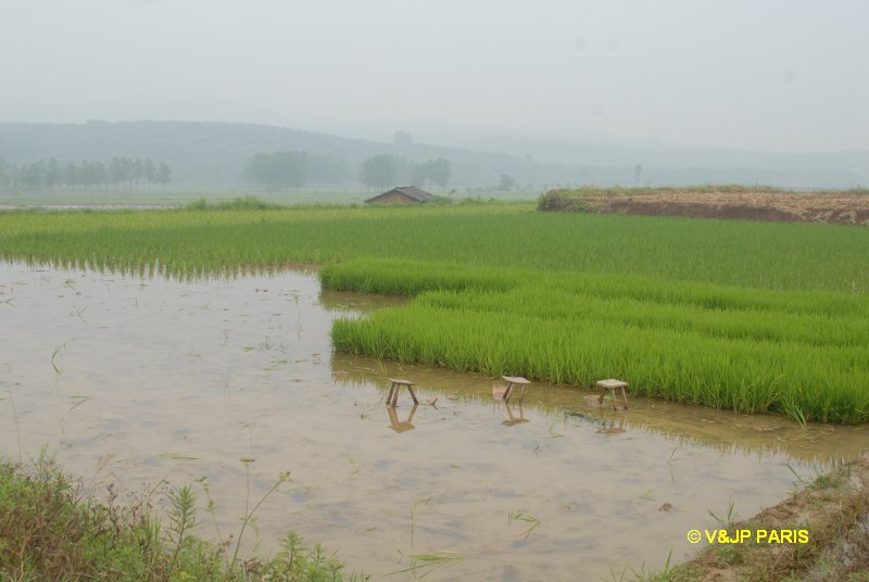 Sanyang, Province de Hubei