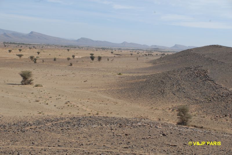 Tamsaheit