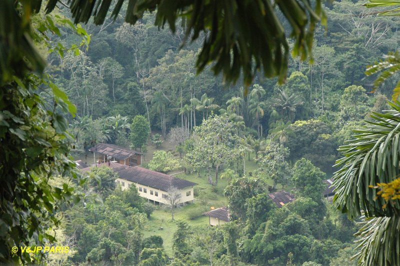 Manu NP, Amazonian Lodge