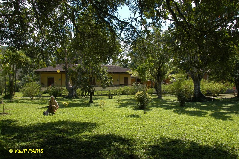 Manu NP, Amazonian Lodge