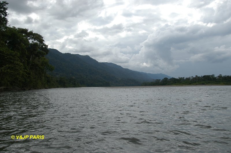 Manu NP, Amazonian Lodge