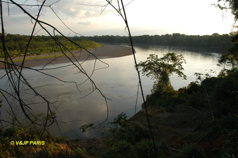 Manu NP, Manu Amazonia Lodge