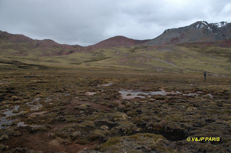 Millogbog, 4000m au dessus de Lima