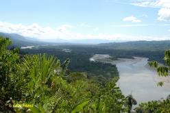 Manu NP, Amazonian Lodge