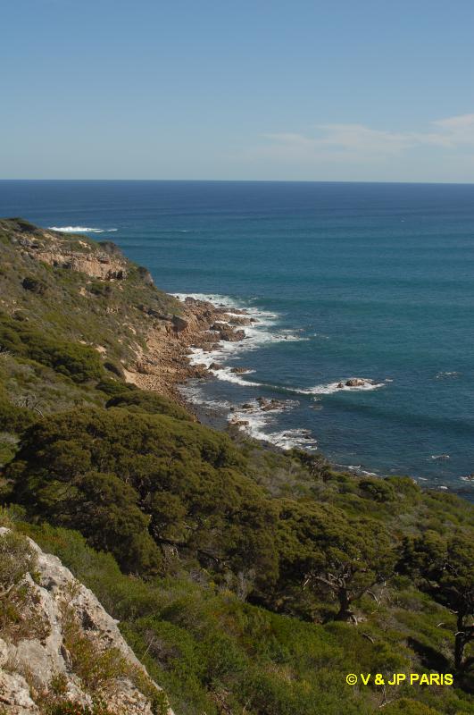 Cap Naturaliste