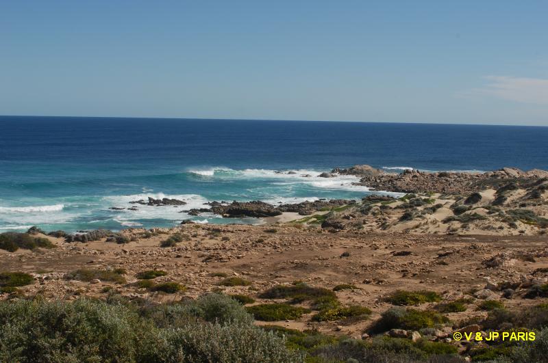 Cap Naturaliste