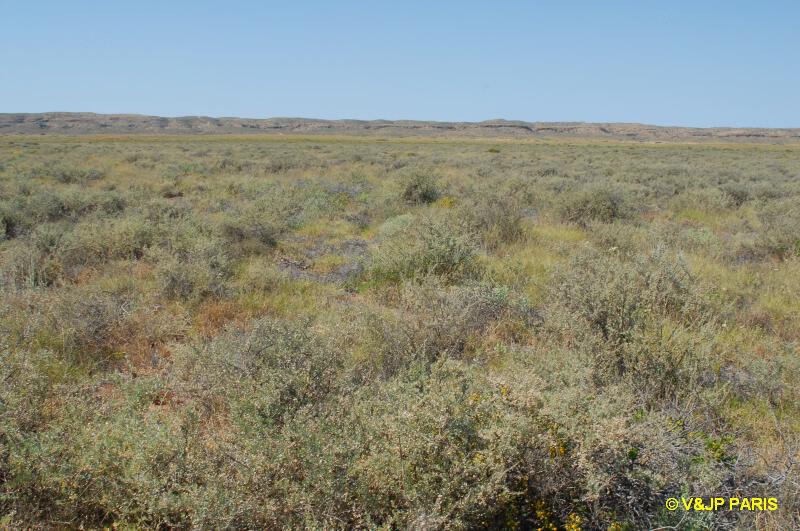 Parc National de Cape Range