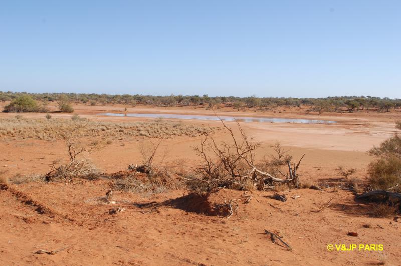 Carnavon Mullewa Road