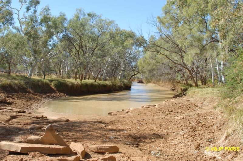 Carnavon Mullewa Road