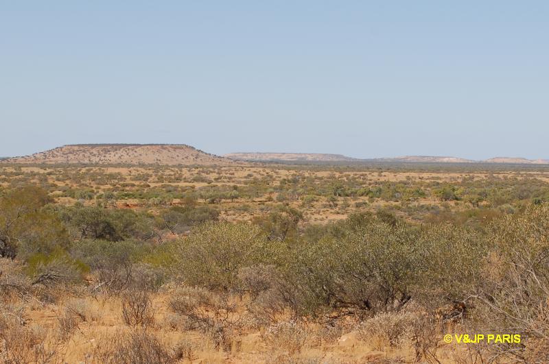 Carnavon Mullewa Road